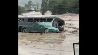 After Heavy Rains in Himachal's Manali, Flood Waters Swallow Massive Bus in Seconds | Watch