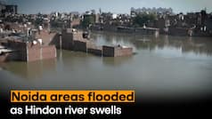 Flood Alert In Noida: Residential Areas In Noida Inundated After River Hindon Water Level Rises - Watch Video
