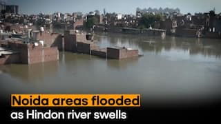 Flood Alert In Noida: Residential Areas In Noida Inundated After River Hindon Water Level Rises - Watch Video