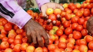 Relief For Consumers: Amid Price Hike, Tomatoes To Be Available At Discounted Rates In Delhi-NCR