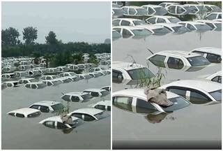 हिंडन नदी का जलस्तर बढ़ने से कई इलाके जलमग्न, नोएडा में Ecotech 3 के पास पानी में तैरती दिखी गाड़ियां | VIDEO