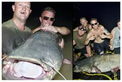 3 Friends From Britain Catch Biggest Wels Catfish Ever In Spain, News Goes Viral