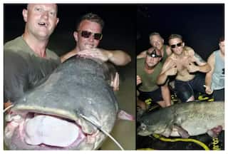3 Friends From Britain Catch Biggest Wels Catfish Ever In Spain, News Goes Viral