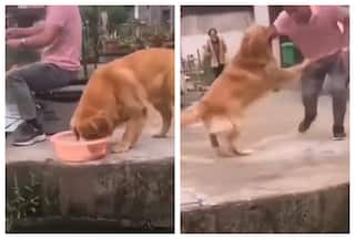 Man Catches Fish And Then His Dog Reacts In Very Strange Manner: Watch