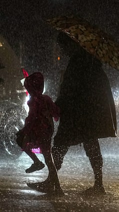 Weather Update: IMD Predicts Rainfall in THESE States