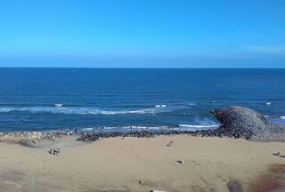 The Charm of Poompuhar Beach: A Timeless Destination in Tamil Nadu