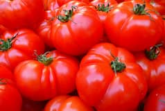 Tomato Or Me? Woman Leaves Home After Husband Uses The Red Fruit For Cooking Gravy In Madhya Pradesh
