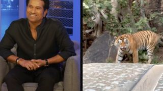 Sachin Tendulkar's Special Post For His ‘Favourite Animal’ On International Tiger Day