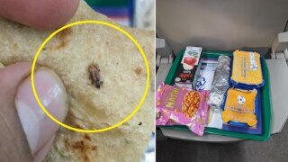 Passenger Finds Cockroach In Vande Bharat Meal, Internet Reacts