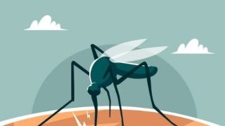 Dengue Cases Rise in India: 5 Dietary Tips to Enhance Platelet Count Naturally