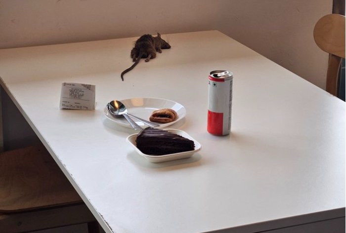 Dead Rat Falls Onto Customer’s Table At IKEA Bengaluru, Twitter Left Disgusted