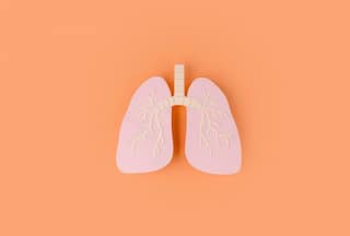 Monsoon Health Kit For Lungs: Infections to Precautions, How to Keep Respiratory Illness at Bay