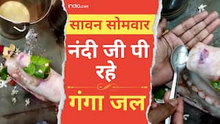 Sawan Somwar: जब Nandi Ji पीने लगे Ganga Jal । Watch Viral Video