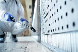 What is Rat Fever Spreading in Kerala? Symptoms to Treatment, All You Need to Know