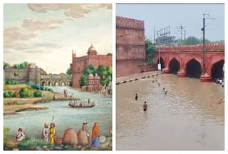 'Yamuna Reclaiming Its Floodplain': Vintage Illustrations Go Viral as River Enters Red Fort