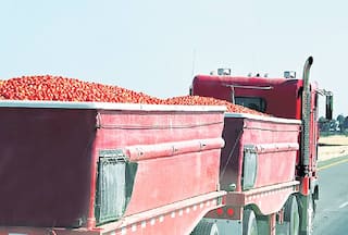 Truck With Tomatoes Worth Rs 21 Lakh Goes Missing In Rajasthan Amid Price Hike