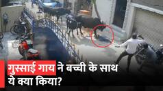 Cow Attack Video: स्कूल से आ रही बच्ची को गाय ने उठाकर पटका, फिर लगातार मारती रही सींग, देखें दिल दहला देने वाला वीडियो| Watch Video
