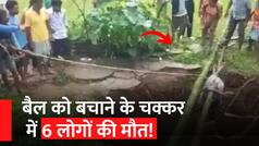 Jharkhand में दर्दनाक हादसा, बैल को बचाने के चक्कर में कुएं में उतरे लोग, अचानक धंस गई मिट्टी, 6 की मौत | Watch Video