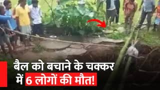 Jharkhand में दर्दनाक हादसा, बैल को बचाने के चक्कर में कुएं में उतरे लोग, अचानक धंस गई मिट्टी, 6 की मौत | Watch Video