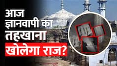 Gyanvapi ASI Survey: तहखाने में दफन हैं ज्ञानवापी के राज? Watch Video