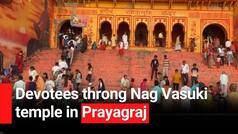 Nag Panchami 2023: Devotees Throng Nag Vasuki Temple In Prayagraj On Occasion Of Nag Panchami