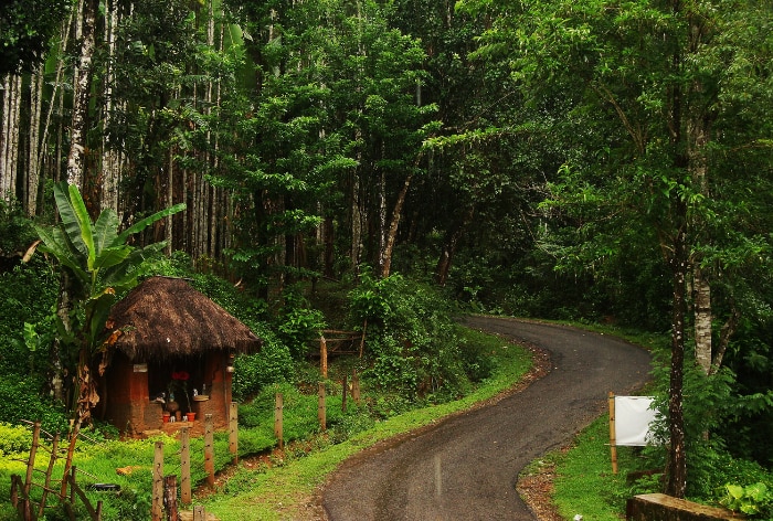 Agumbe, Karnataka: Where Cherrapunji Meets the Western Ghats| 3 Reasons Why You Should Visit The Place
