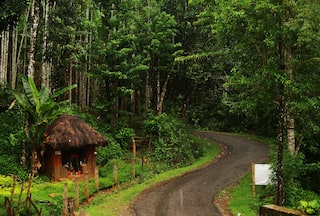 Agumbe, Karnataka: Where Cherrapunji Meets the Western Ghats| 3 Reasons Why You Should Visit The Place