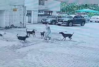 On Camera: 12-Yr-Old Attacked By Stray Dogs In Ghaziabad Society, Rescued By Delivery Boy | Watch