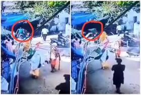 india.com top news