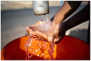 Monsoon Health: What are Waterborne Parasites? 5 Ways to Prevent Infection