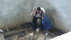 Cobra Ka Video: कोबरा को मार दिया जोरदार थप्पड़, फिर बेबस देखता रहा नाग | हिला देगा ये वीडियो