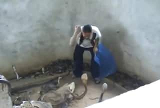 Cobra Ka Video: कोबरा को मार दिया जोरदार थप्पड़, फिर बेबस देखता रहा नाग | हिला देगा ये वीडियो