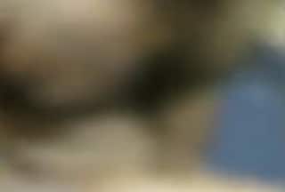 मुफ्त में खाना फिर पैसे मांगे, मालिक ने मना किया तो डाल दिया खौलता हुआ तेल