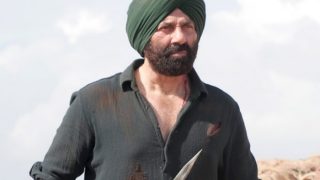 Gadar 2 Box Office Collection Day 30 (Early Estimates): Sunny Deol's Film Sees Minor Jump Despite Jawan Mania - Check Detailed Report