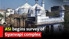 Gyanvapi Masjid: ASI Begins Survey Of Gyanvapi Mosque Complex Amid Tight Security - Watch Video