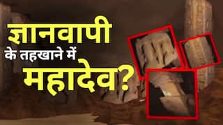 क्या गुंबद-तहखाने के खुलते ही दिखने लगे महादेव? हिंदू पक्ष ने जोड़ लिए हाथ । Gyanvapi Survey