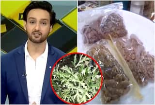 DNA Special: अब आपके खाने में लगेगा स्वदेशी हींग का तड़का, पहली बार भारत में की जा रही खेती; यहां जानें क्या है पूरा प्रॉसेस | देखें VIDEO