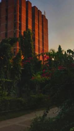 JNU PG First Merit List 2023: How to Check at jnuee.jnu.ac.in