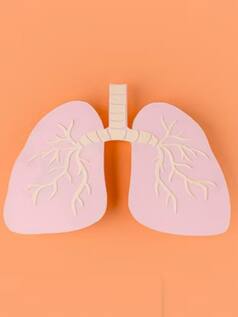 7 Most Common Lung Diseases to Know