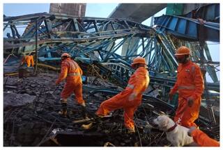 महाराष्ट्र में एक्सप्रेस-वे का पुल बनाने के काम में लगी मशीन गिरी, 16 लोगों की मौत, तीन घायल