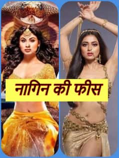 ये हैं सबसे ज्यादा फीस लेने वाली नागिन