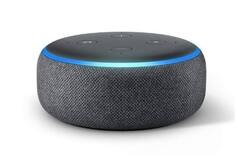Amazon Alexa Accused Of    Sexist    Reply To Question About The Lionesses
