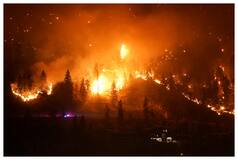 Canadian Firefighters Wage Epic Battle To Save Communities After Mass Evacuations