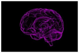 Indian-origin Scientists Identify 11 Risk Factors For Developing Dementia