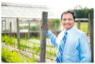 Ranked Among Top 2 Percent Of Scientists Globally, Indian-origin Researcher Raja Reddy Conferred Agl Systems Modelling Award