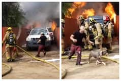 Man Rushes Inside House On Fire To Save His Dog: Watch