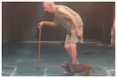 Dog Shows Amazing Patience While On Walk With Elderly Man, Hailed As Hero: Watch