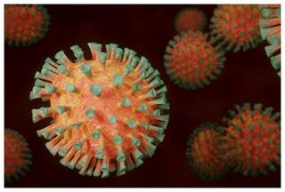 Corona Cases Witness 80 Per Cent Rise Globally In 1 Month