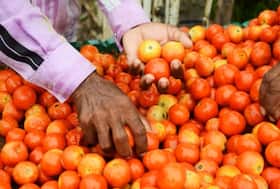 india.com top news