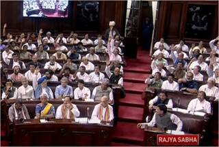 Rajya Sabha Passes Delhi Services Bill, To Become Law After President Murmu's Stamp